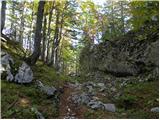 Stara Fužina - Planina pod Mišelj vrhom